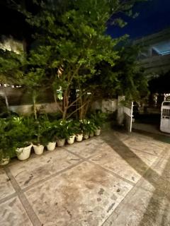 Green rooms - Bhopal - 4