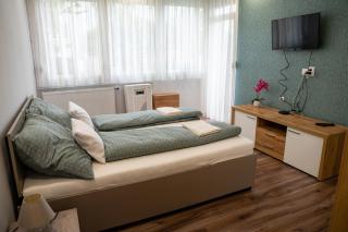 Orchidea apartman - Makó - 9