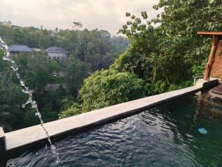 Joglo Organik Guesthouse - Ubud - 2
