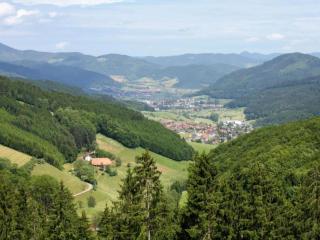 Spacious Apartment near Forest in Bad Dürrheim - Bad Dürrheim - 6