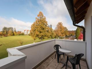 Spacious Apartment near Forest in Bad Dürrheim - Bad Dürrheim - 2
