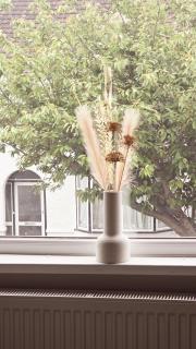 Alross Guest House with breakfast free - Londra - 1
