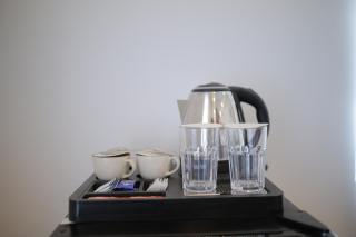 The Tiger Claws Tadoba - 1