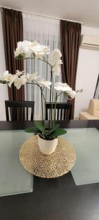 Silver Springs Premium Apartment - Sunny Beach - 8
