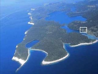 Apartments Soline - National park Mljet - 8