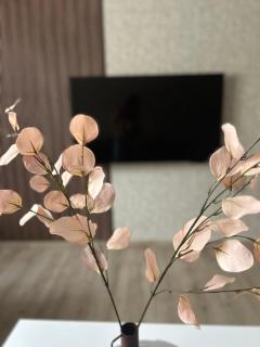 Apartman Tara - Subotica - 4