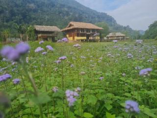 Ba Be Retreat - - 4