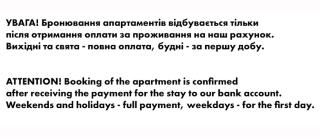 Loft Studio near Smart Plaza Polytech, center - Kiev - 4