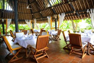 Gecko Hotel Diani - Kwale - 5