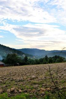 Chatka na Lipowych Wzgórzach - - 8