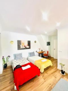Apartamento centro histórico Porto - Porto - 8