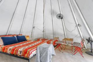 The Driftwoods - Tipi - Driftwood - 7