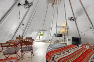 The Driftwoods - Tipi - Driftwood - 5