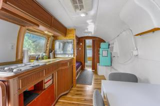 The Driftwoods - Blue Airstream - Driftwood - 9