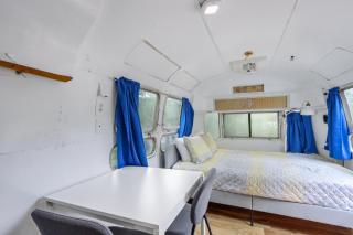 The Driftwoods - Blue Airstream - Driftwood - 3