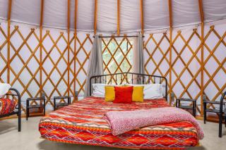 The Driftwoods - Yurt - Driftwood - 9