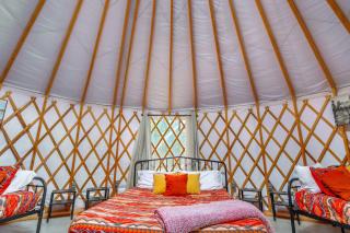 The Driftwoods - Yurt - Driftwood - 8