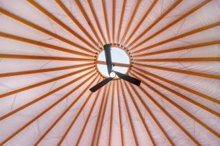 The Driftwoods - Yurt - Driftwood - 3