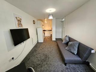 Furnished 1 BR Apt in Liverpool - Liverpool - 3