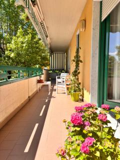Appartamento Gelsomino - Marina di Massa - 0