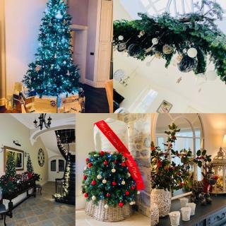 Captain‘s Cottage - Llandeilo - 9