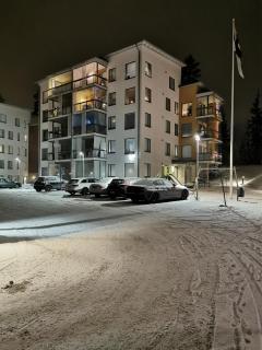 Kolmio järvinäkymin, Palokka - 1