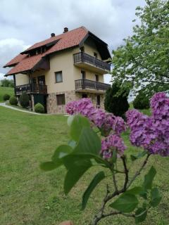Vila Milija - Bajina Bašta - 0