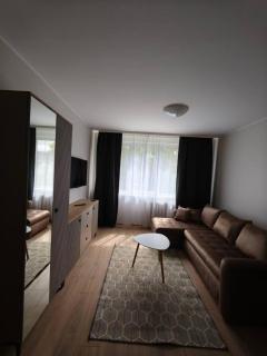 Egidijaus apartamentai Panevėžyje - Panevėžys - 2