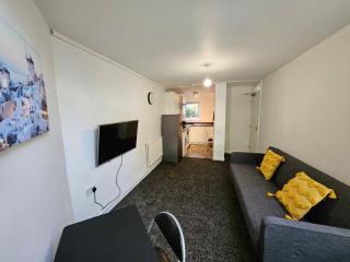 Furnished 1 BR Apt in Liverpool - Flat 18 - Liverpool - 1