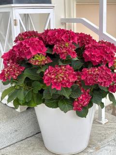 Seevilla Wienerroither - 7