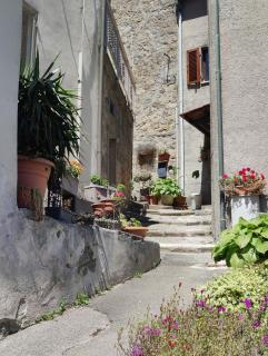 Sassolina house bike - 3