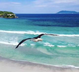 Almir batista da silva - Cabo Frio - 7