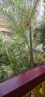 Hôtel Saint-Louis Sun Dakar - Dakar - 9