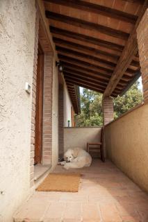 Agriturismo Boschi di Montecalvi - 9