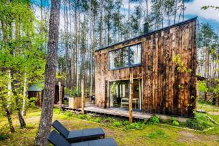 Domek lubiana180 WABI SABI w lesie jacuzzi sauna kominek - drewno w cenie pobytu - nad jeziorem Kaszuby pieski tylko do 10kg za dodatkową opłatą - 2