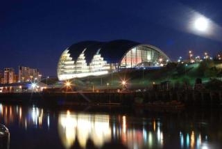 Urban Retreat in Newcastle- Pet friendly- Garden - 7