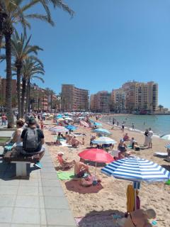 Ela - Torrevieja - 6
