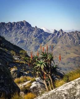 Mount Mulanje Stopover - 1