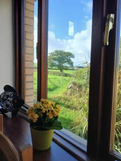 Hazel Cottage, Frithelstock - Frithelstock - 8