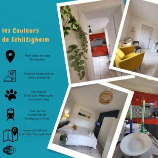 Les couleurs de Schiltigheim - Schiltigheim - 0