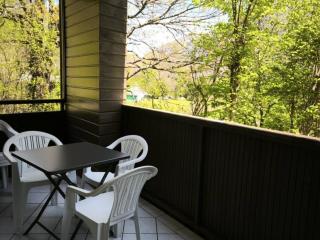 Charmant Chalet Montagne avec Parking, Proche Navettes - FR-1-812-111 - Cauterets - 5