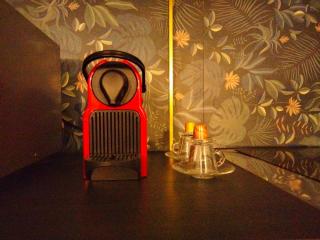 Romantic Studio - Neuilly-sur-Marne - 3