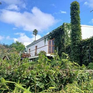 Paulet Cottage - Somerset East - 7
