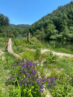 Perfect Getaway in the Heart of Nature - Lordelo - 2