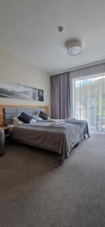 Apartament Czarna Góra Earth - Sienna - 8