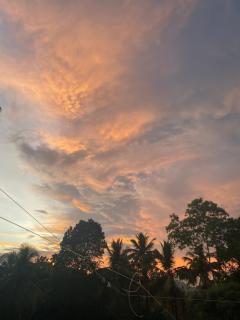 Evergreen garden - Nilwella - 9