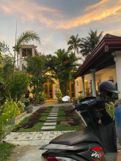 Evergreen garden - Nilwella - 3