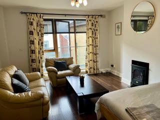 Bright Spacious Apartment - Dublin - 4