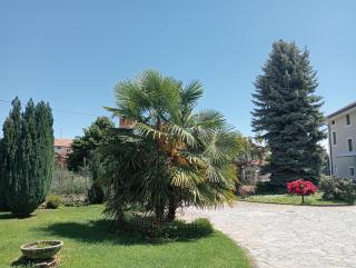 Residenza il Rododendro - 3