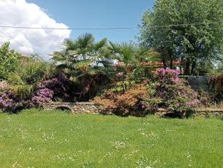 Residenza il Rododendro - 2